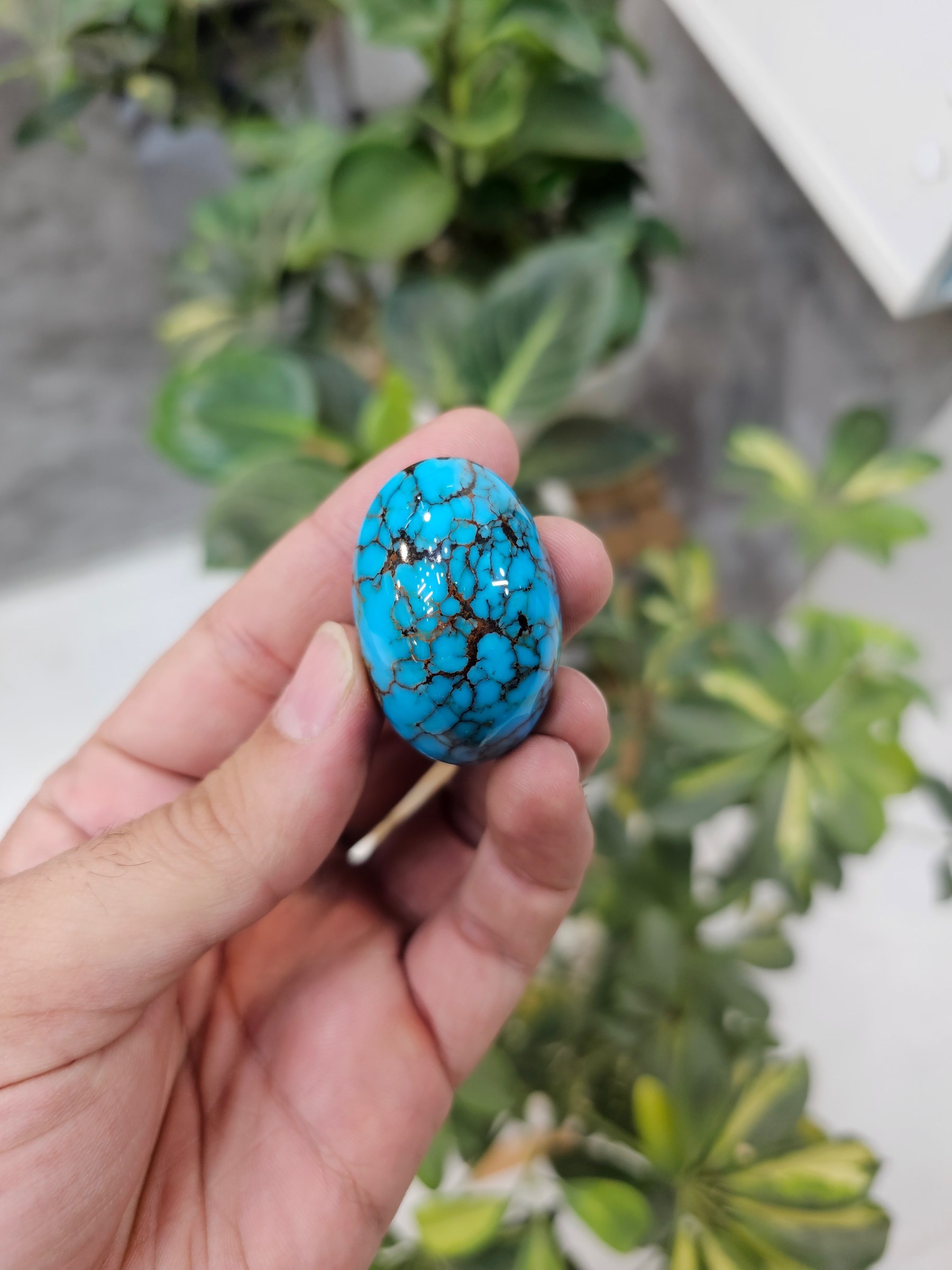 A single polished oval turquoise cabochon with dark webbed matrix held between two fingers.