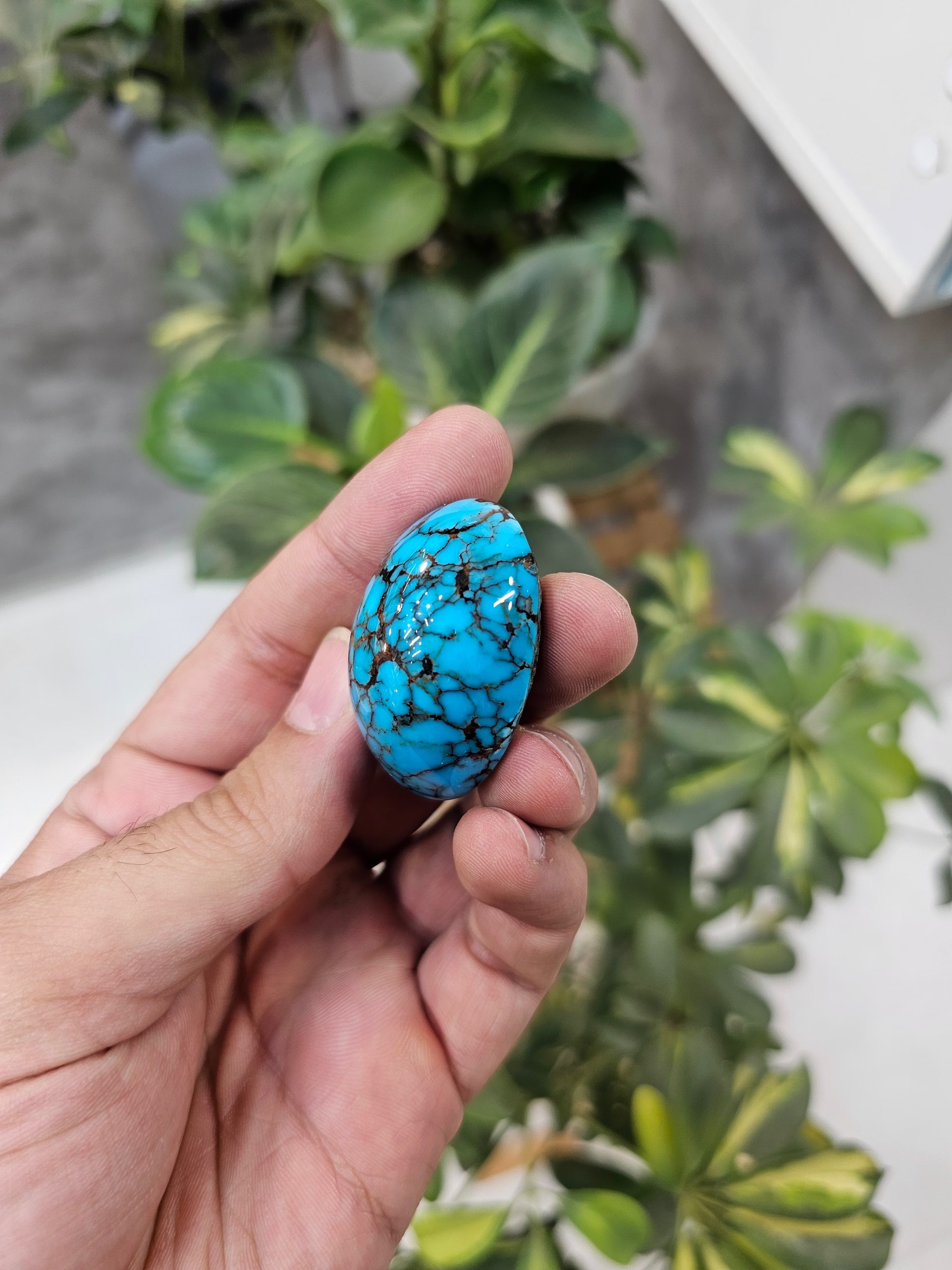 A polished oval turquoise cabochon with dense dark web matrix held between two fingers.