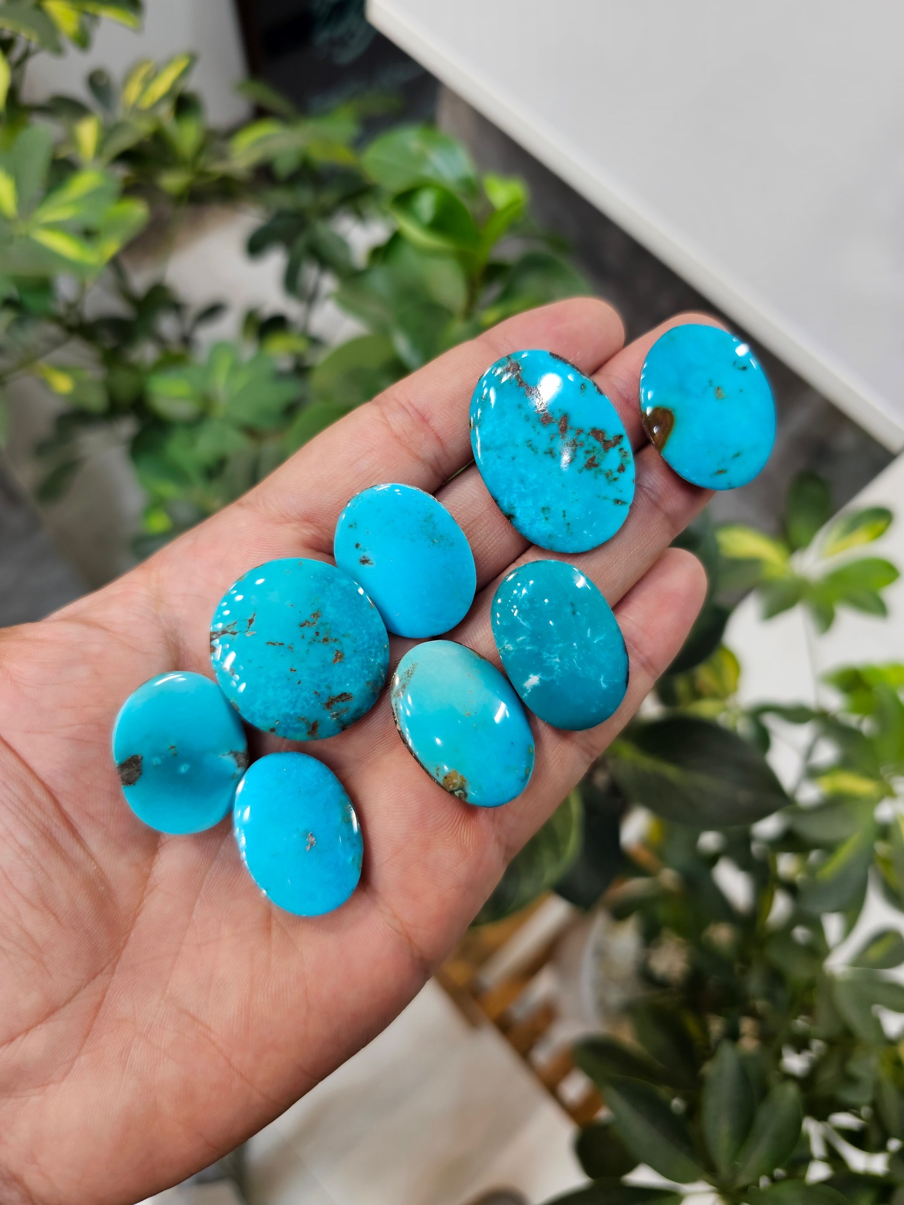A hand holds polished oval turquoise cabochons in even, solid bright blue with almost no matrix.