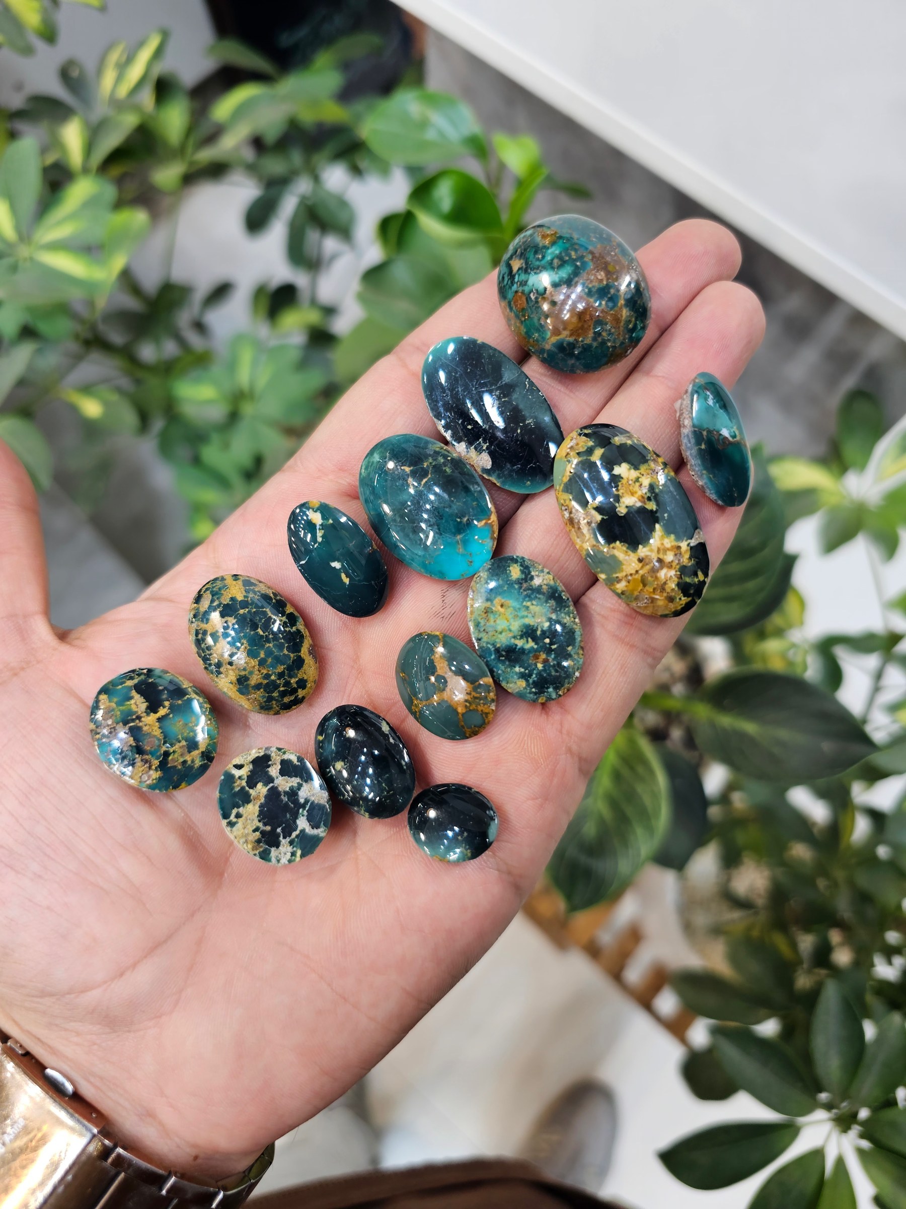 A hand holds a large group of polished turquoise cabochons in dark green, brown and blue tones.