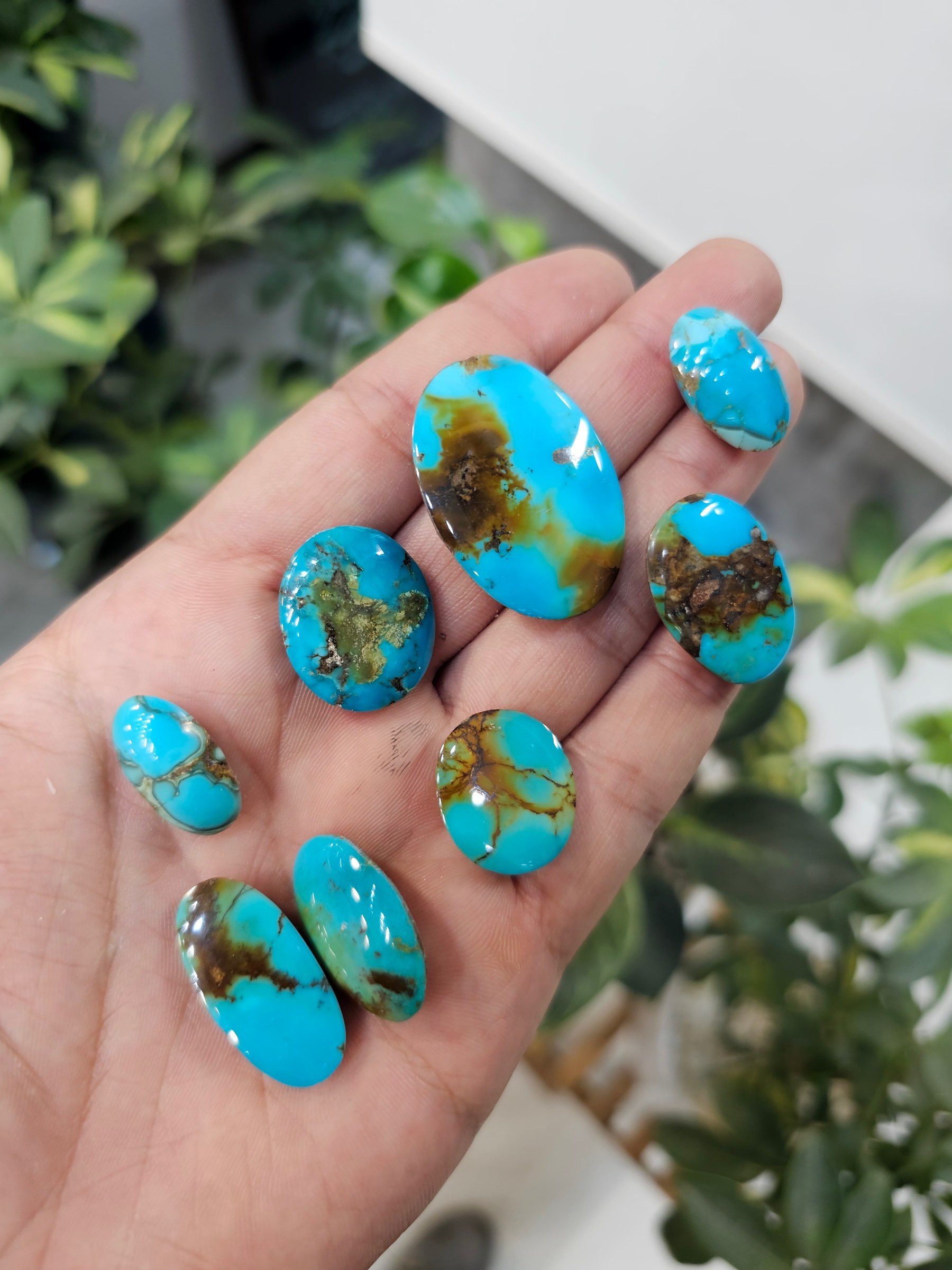 A hand holds polished turquoise cabochons in blue and green with brown matrix, including a rectangular stone.