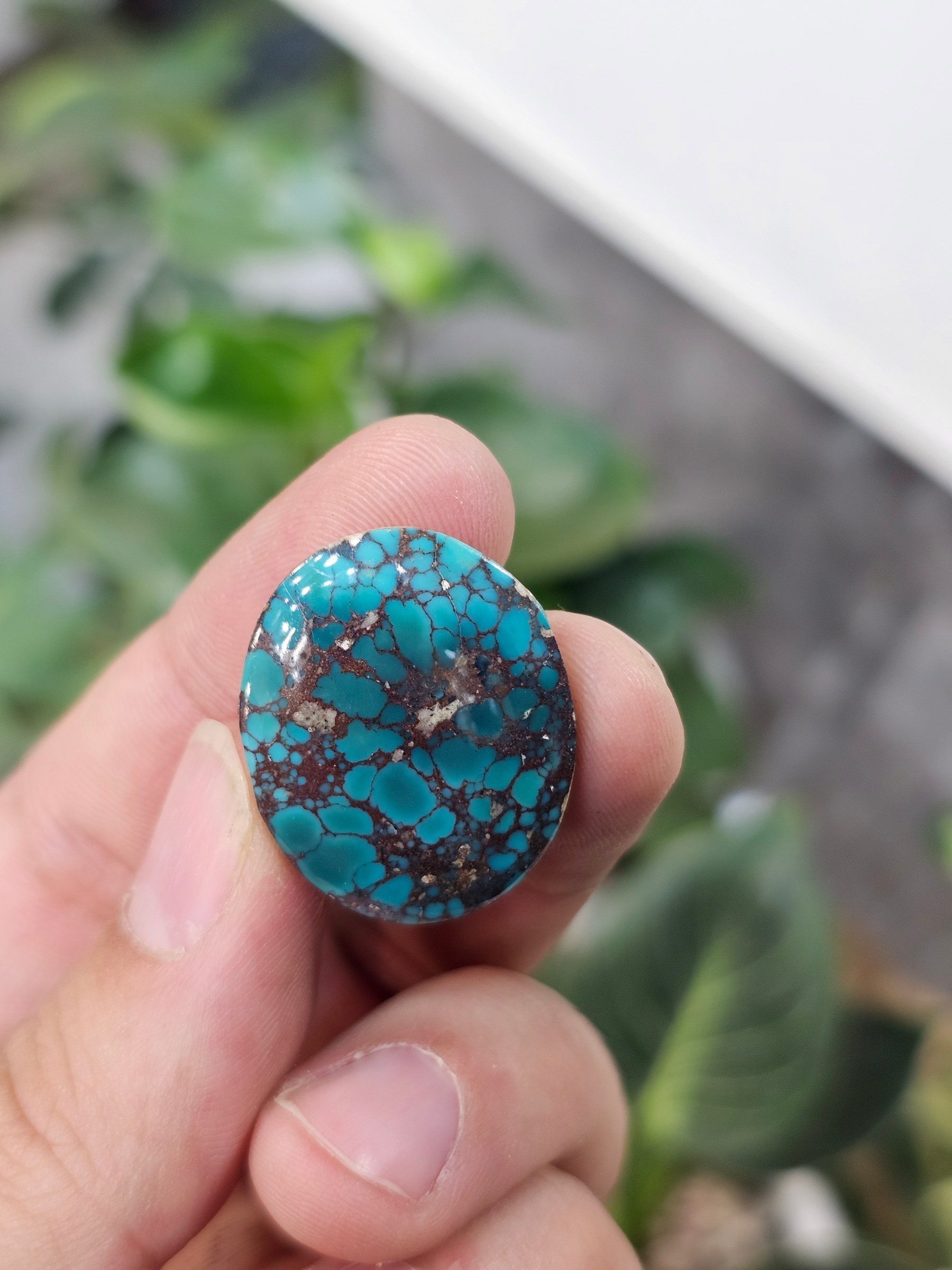 Close view of a round polished turquoise cabochon in dark blue with black-brown matrix veining.