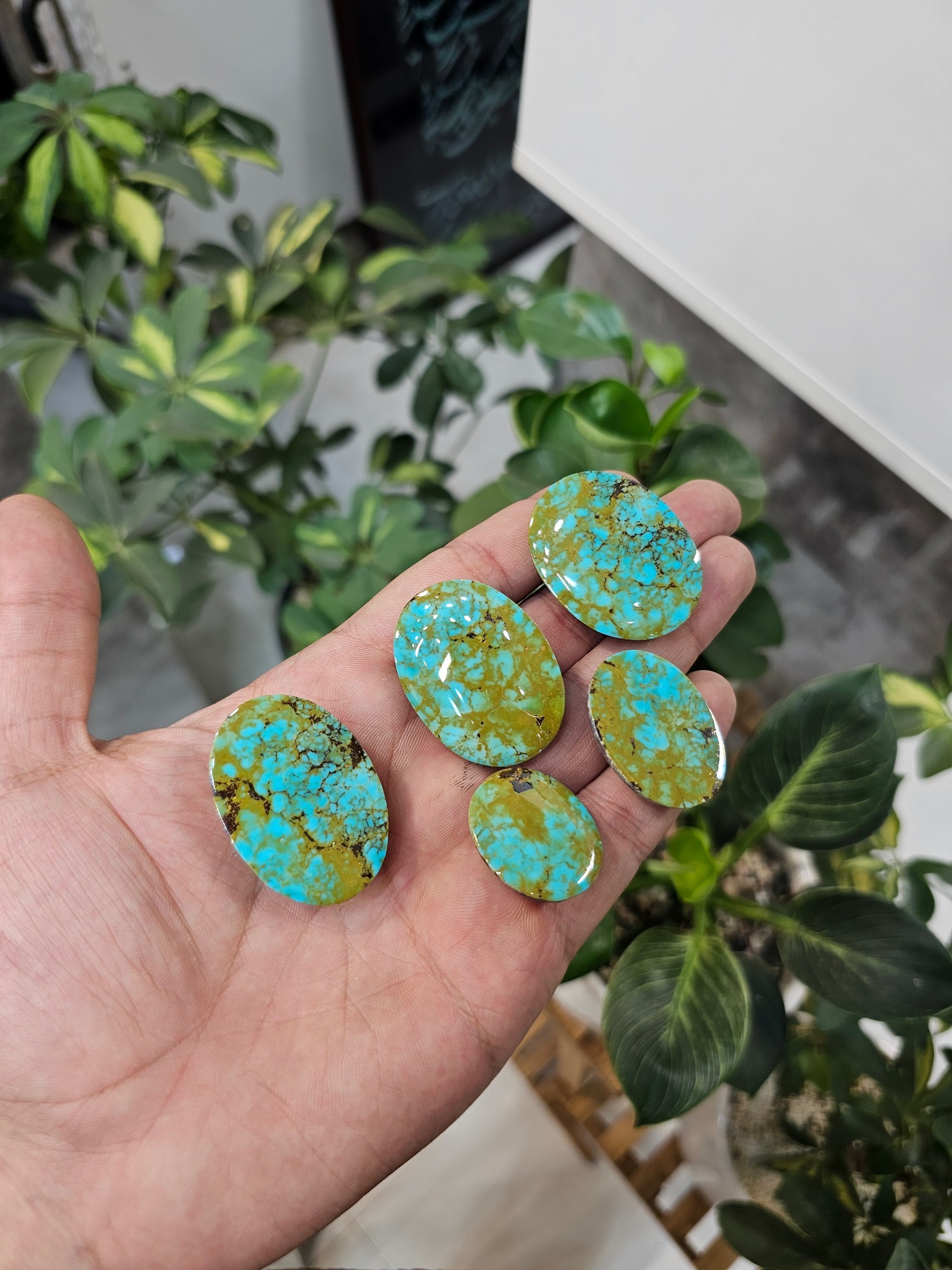 A hand holds polished turquoise cabochons in green-blue tones with light matrix against a dark background.