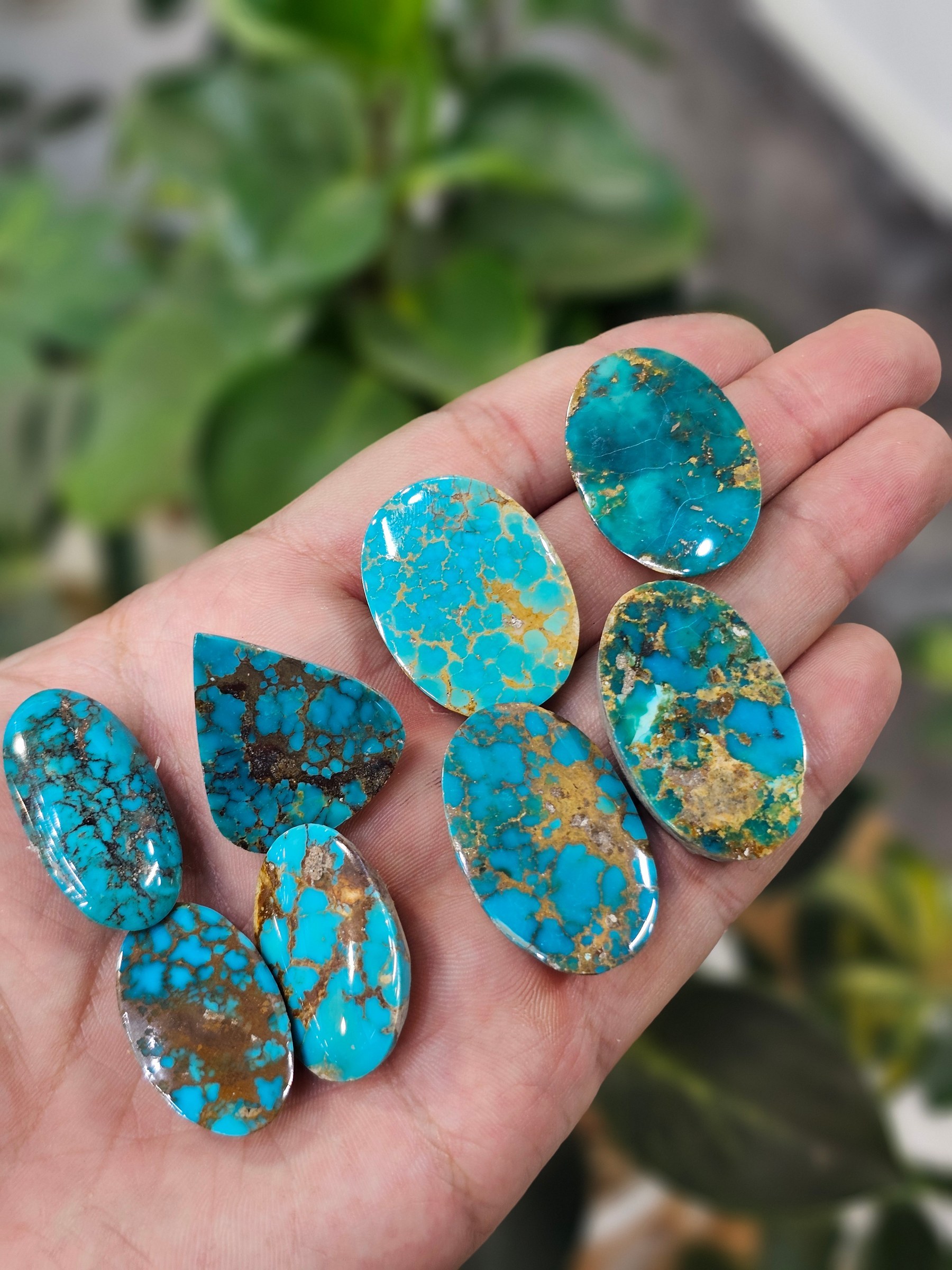 A hand holds polished turquoise cabochons in blue with pronounced dark spiderweb matrix.