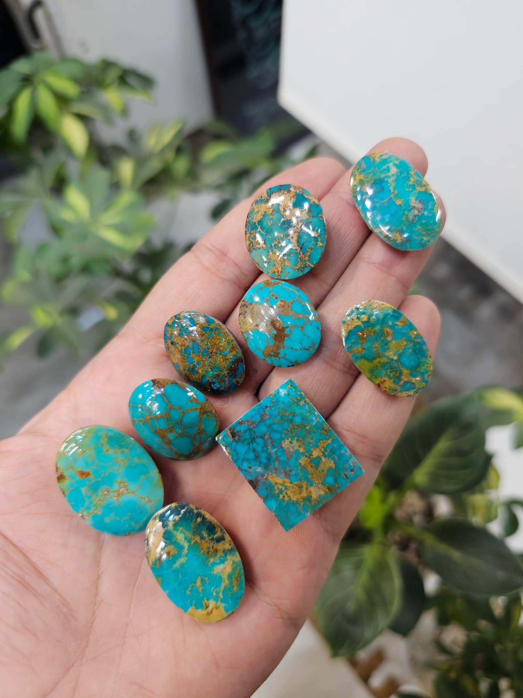 A hand holds polished turquoise cabochons in blue with dense dark brown and black matrix.