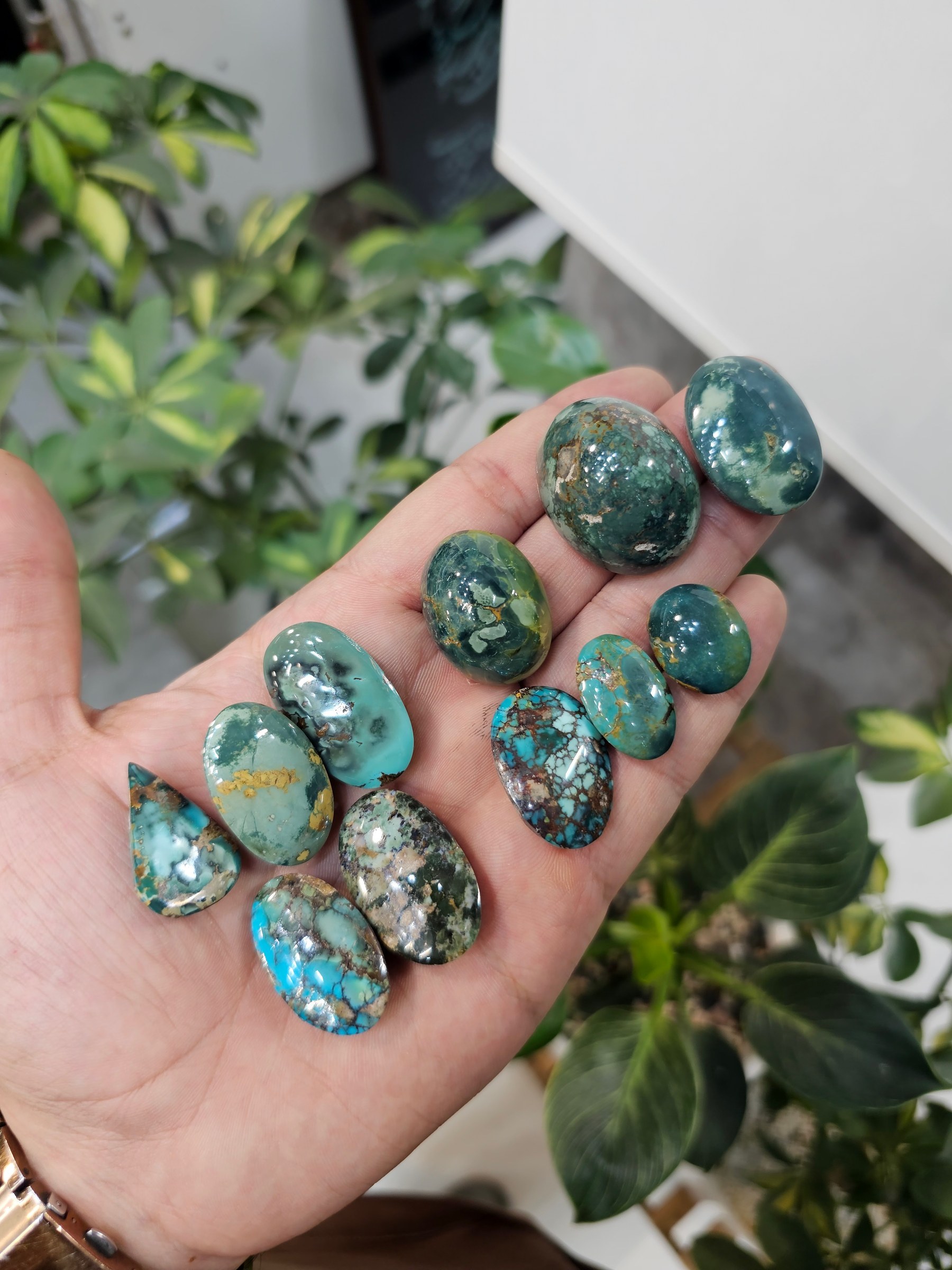 A hand holds polished turquoise cabochons in grey-green tones with pale matrix.