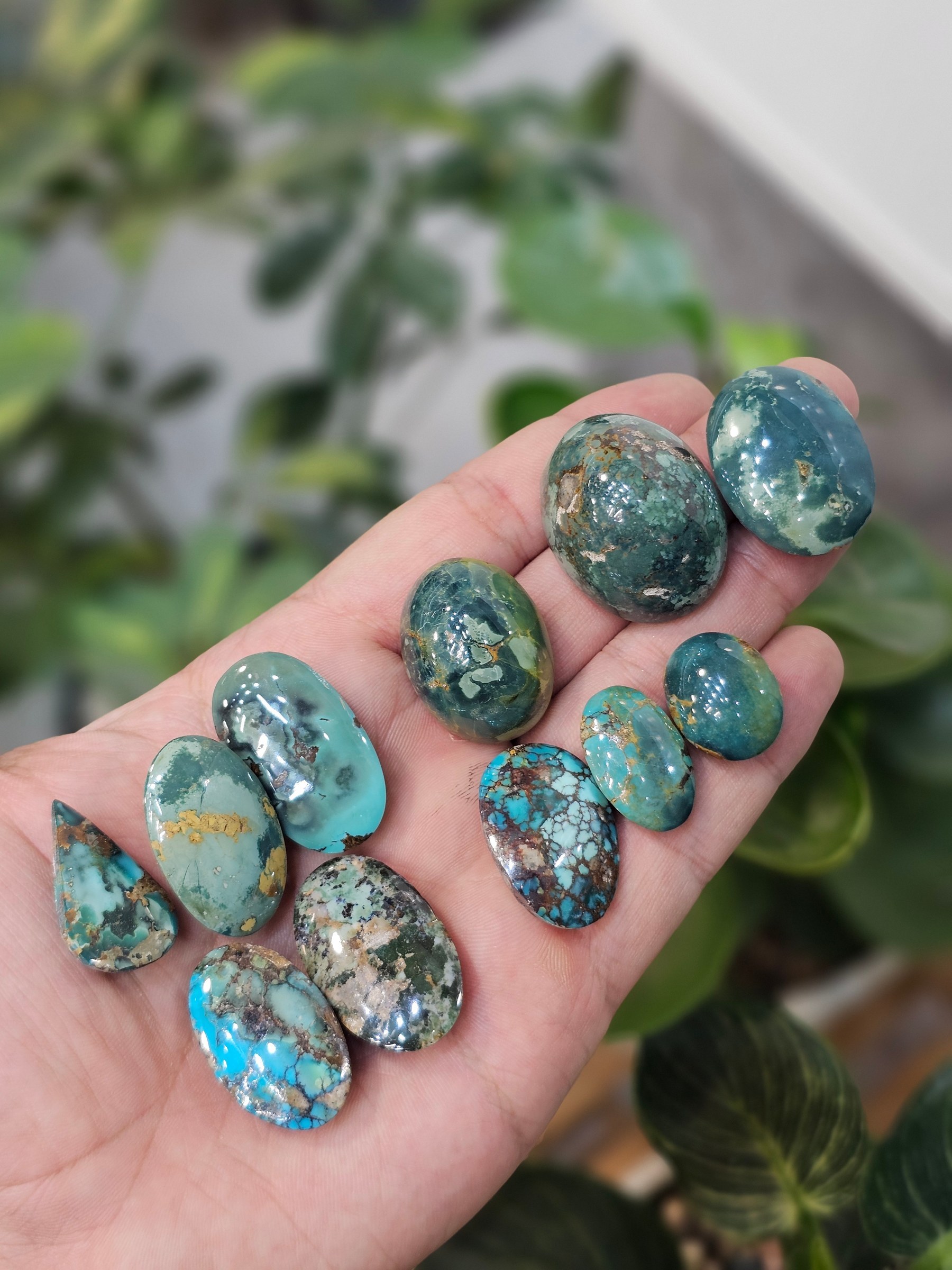 A hand holds polished turquoise cabochons in grey and green tones with dark matrix.