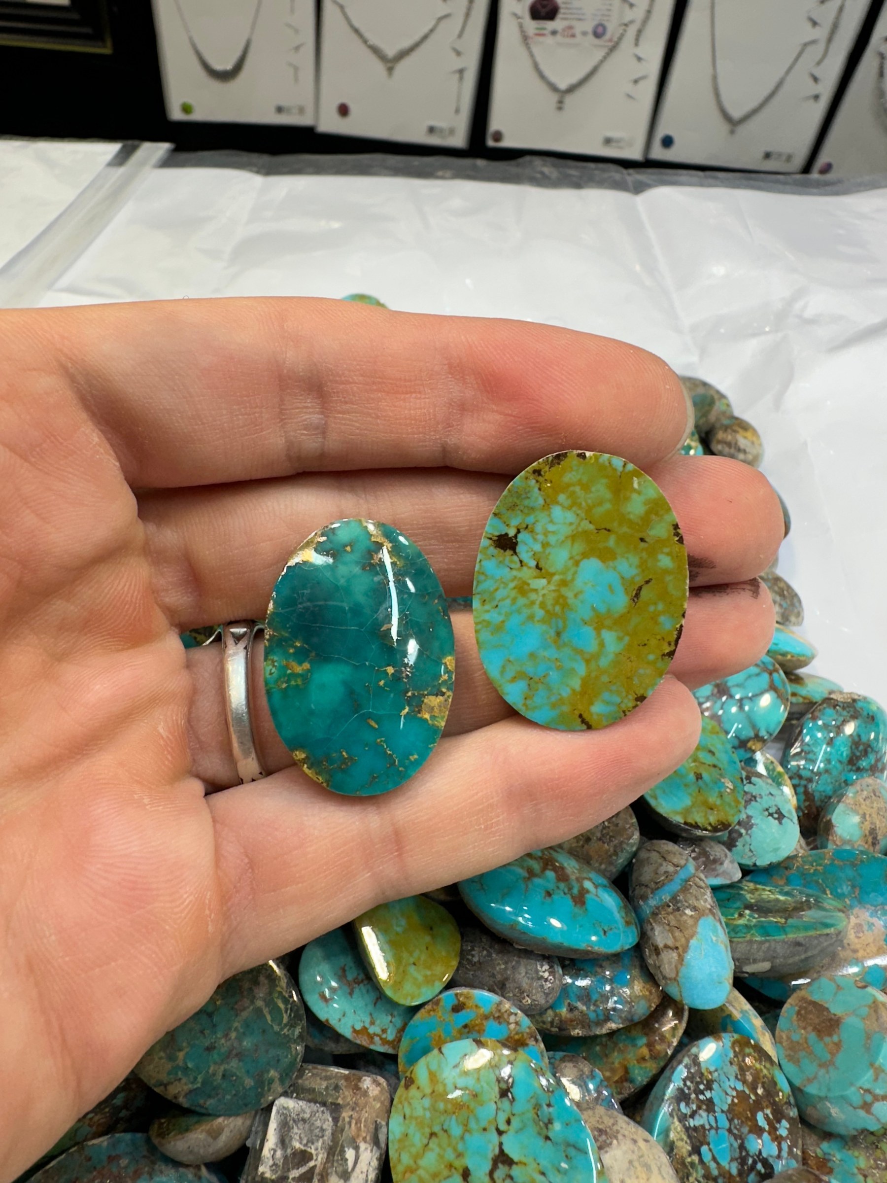 A hand holds two polished turquoise cabochons in green with light brown matrix.